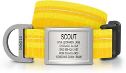 DOG iD Personalized Stainless Steel Dog ID Tag & Collar, Yellow, Medium/Large: 14.25 to 22.75-in neck, 1-in wide