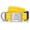 Show in main carousel: DOG iD Personalized Stainless Steel Dog ID Tag & Collar, Yellow, Medium/Large: 14.25 to 22.75-in neck, 1-in wide slide 1 of 6