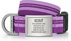 DOG iD Personalized Stainless Steel Dog ID Tag & Collar, Violet, Medium/Large: 14.25 to 22.75-in neck, 1-in wide