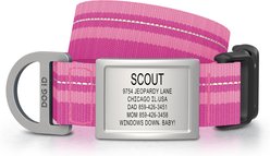 DOG iD Personalized Stainless Steel Dog ID Tag & Collar, Pink, Medium/Large: 14.25 to 22.75-in neck, 1-in wide slide 1 of 5