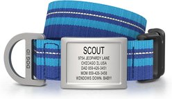 DOG iD Personalized Stainless Steel Dog ID Tag & Collar, Blue, Medium/Large: 14.25 to 22.75-in neck, 1-in wide