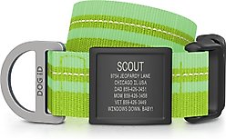 DOG iD Personalized Stainless Steel Graphite Dog ID Tag & Collar, Hi-Viz Green, X-Large: 18 to 28.5-in neck, 1.25-in wide