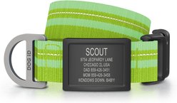 DOG iD Personalized Stainless Steel Graphite Dog ID Tag & Collar, Hi-Viz Green, Medium/Large: 14.25 to 22.75-in neck, 1-in wide