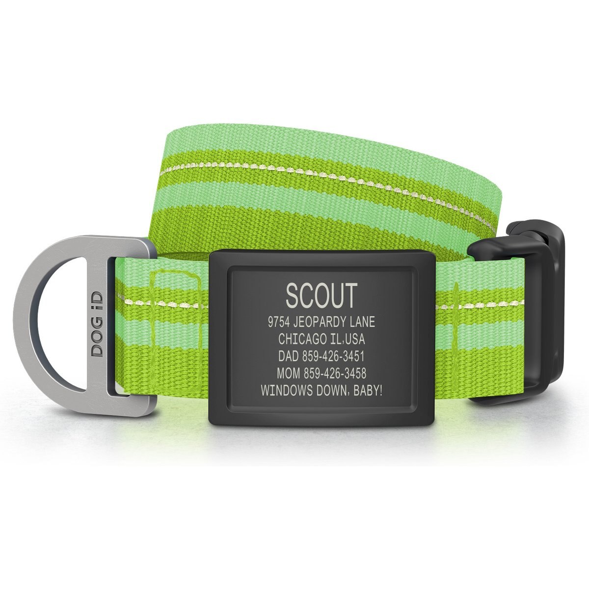 DOG iD Personalized Stainless Steel Graphite Dog ID Tag & Collar, Hi-Viz Green, Medium/Large: 14.25 to 22.75-in neck, 1-in wide