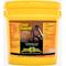 Show in main carousel: Finish Line Total Control All-In-One Comprehensive Powder Horse Supplement, 9.3-lb tub slide 1 of 3