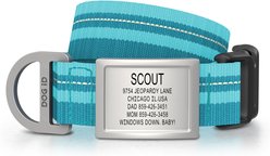 DOG iD Personalized Stainless Steel Dog ID Tag & Collar, Teal, Medium/Large: 14.25 to 22.75-in neck, 1-in wide