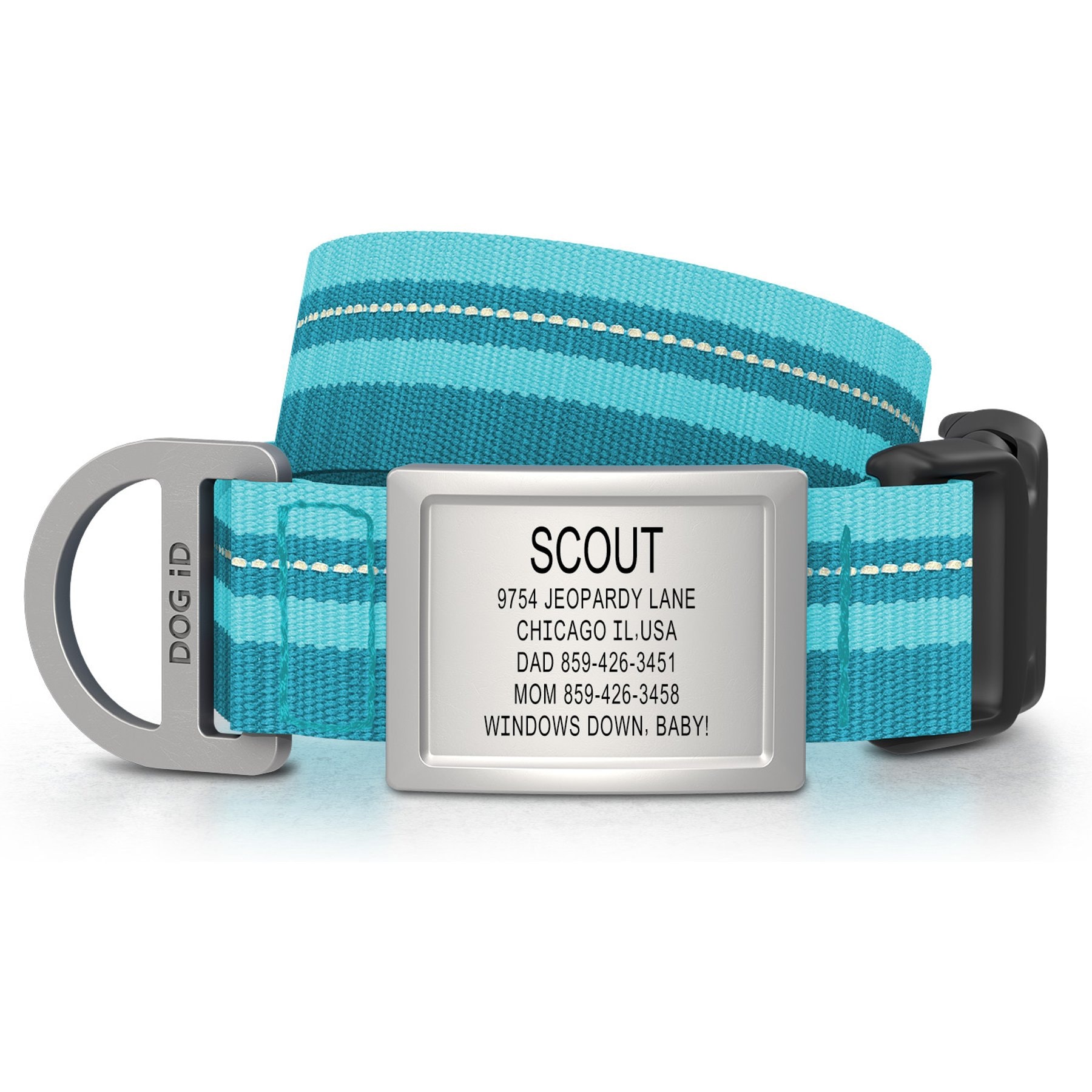 DOG iD Personalized Stainless Steel Dog ID Tag & Collar, Teal, Medium/Large: 14.25 to 22.75-in neck, 1-in wide