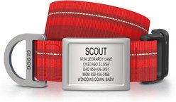 DOG iD Personalized Stainless Steel Dog ID Tag & Collar, Red, Medium/Large: 14.25 to 22.75-in neck, 1-in wide