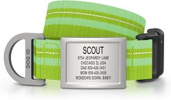 DOG iD Personalized Stainless Steel Dog ID Tag & Collar, Hi-Viz Green, Medium/Large: 14.25 to 22.75-in neck, 1-in wide
