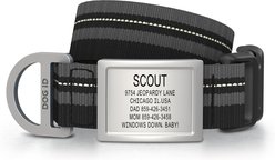 DOG iD Personalized Stainless Steel Dog ID Tag & Collar, Black, Medium/Large: 14.25 to 22.75-in neck, 1-in wide