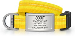 DOG iD Personalized Stainless Steel Dog ID Tag & Collar, Yellow, Small: 10.25 to 15-in neck, 3/4-in wide