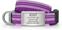DOG iD Personalized Stainless Steel Dog ID Tag & Collar, Violet, Small: 10.25 to 15-in neck, 3/4-in wide
