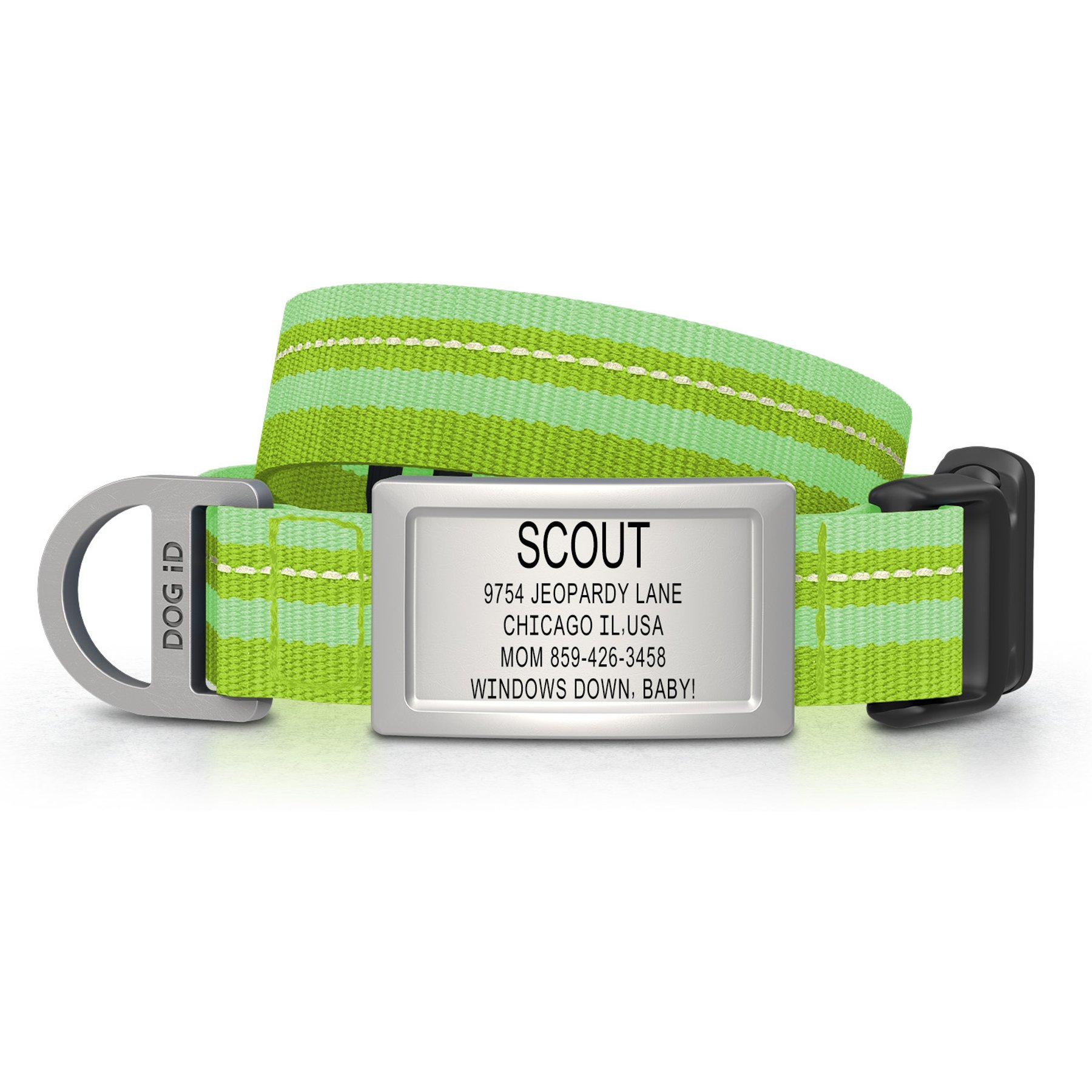 DOG iD Personalized Stainless Steel Dog ID Tag & Collar, Hi-Viz Green, Small: 10.25 to 15-in neck, 3/4-in wide
