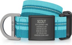DOG iD Personalized Stainless Steel Graphite Dog ID Tag & Collar, Teal, X-Large: 18 to 28.5-in neck, 1.25-in wide