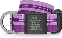 DOG iD Personalized Stainless Steel Graphite Dog ID Tag & Collar, Violet, X-Large: 18 to 28.5-in neck, 1.25-in wide
