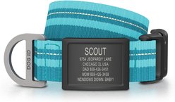 DOG iD Personalized Stainless Steel Graphite Dog ID Tag & Collar, Teal, Medium/Large: 14.25 to 22.75-in neck, 1-in wide slide 1 of 5