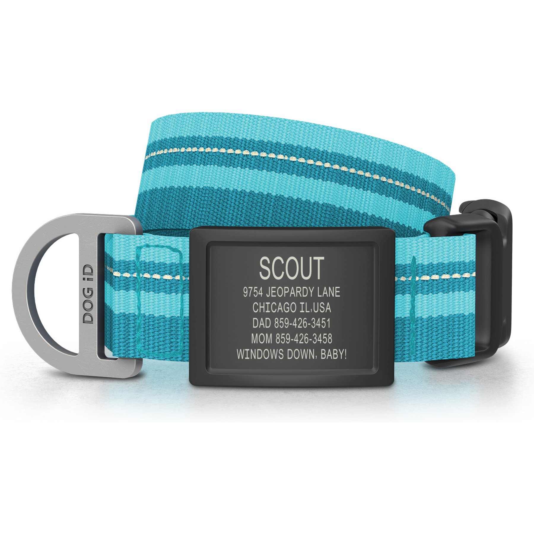 DOG iD Personalized Stainless Steel Graphite Dog ID Tag & Collar, Teal, Medium/Large: 14.25 to 22.75-in neck, 1-in wide