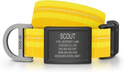 DOG iD Personalized Stainless Steel Graphite Dog ID Tag & Collar, Yellow, Medium/Large: 14.25 to 22.75-in neck, 1-in wide