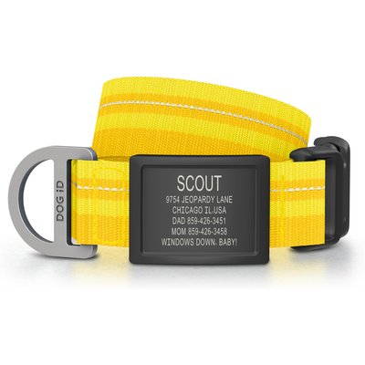 DOG iD DOG iD Personalized Stainless Steel Graphite Dog ID Tag & Collar, Yellow, Medium/Large: 14.25 to 22.75-in neck, 1-in wide