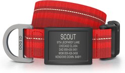 DOG iD Personalized Stainless Steel Graphite Dog ID Tag & Collar, Red, Medium/Large: 14.25 to 22.75-in neck, 1-in wide