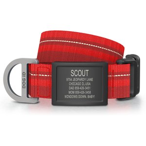 Herm Sprenger Ultra-Plus Training Dog Prong Collar