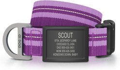 DOG iD Personalized Stainless Steel Graphite Dog ID Tag & Collar, Violet, Medium/Large: 14.25 to 22.75-in neck, 1-in wide