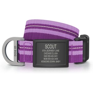DOG iD Personalized Stainless Steel Graphite Dog ID Tag & Collar, Violet, Medium/Large: 14.25 to 22.75-in neck, 1-in wide