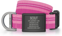 DOG iD Personalized Stainless Steel Graphite Dog ID Tag & Collar, Pink, Medium/Large: 14.25 to 22.75-in neck, 1-in wide