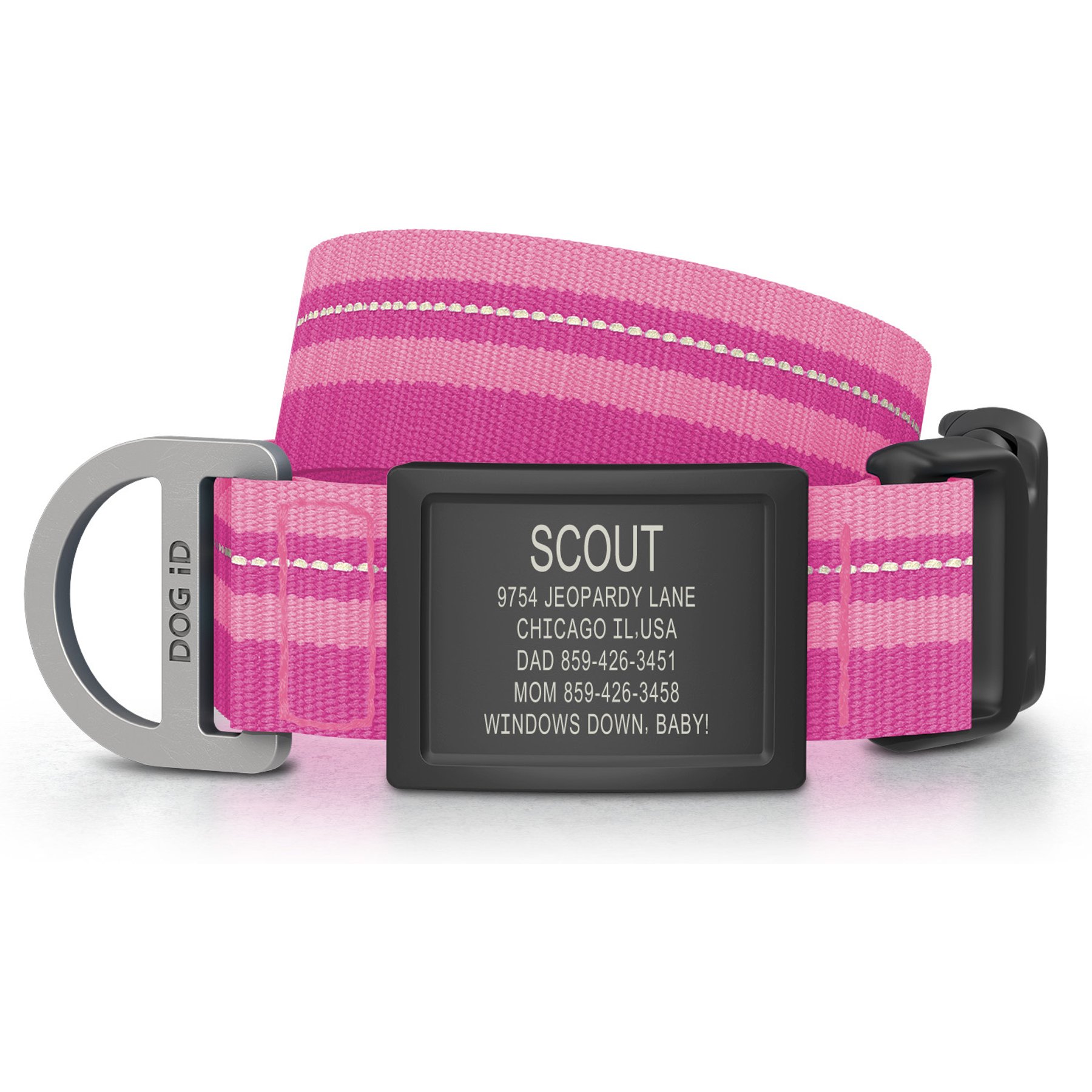 DOG iD Personalized Stainless Steel Graphite Dog ID Tag & Collar, Pink, Medium/Large: 14.25 to 22.75-in neck, 1-in wide