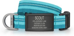DOG iD Personalized Stainless Steel Graphite Dog ID Tag & Collar, Teal, Small: 10.25 to 15-in neck, 3/4-in wide