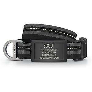 GoTags Cotton Hemp Personalized with Custom Engraved Nameplate Dog Collar