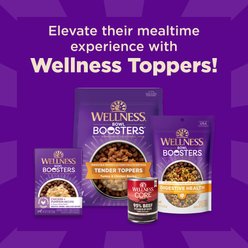 Wellness CORE+ Sensitive Skin & Stomach Natural Adult Salmon & Rice Recipe Dry Dog Food, 18-lb bag slide 2 of 9