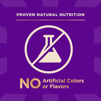 Show full view: Wellness CORE+ Wholesome Grains Original Recipe High Protein Dry Dog Food, 4-lb bag slide 7 of 11