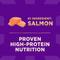 Show in main carousel: Wellness CORE+ Sensitive Skin & Stomach Natural Adult Salmon & Rice Recipe Dry Dog Food, 18-lb bag slide 7 of 12