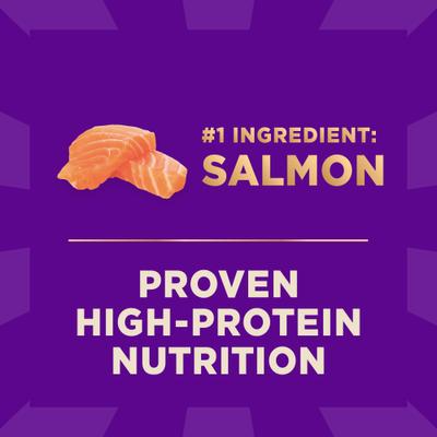 Show full view: Wellness CORE+ Sensitive Skin & Stomach Natural Adult Salmon & Rice Recipe Dry Dog Food, 18-lb bag slide 7 of 12