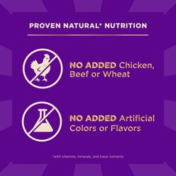 Wellness CORE+ Sensitive Skin & Stomach Natural Adult Salmon & Rice Recipe Dry Dog Food, 4-lb bag slide 2 of 9