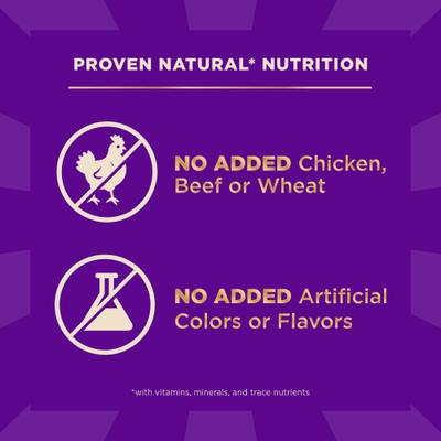 Show full view: Wellness CORE+ Sensitive Skin & Stomach Natural Adult Salmon & Rice Recipe Dry Dog Food, 18-lb bag slide 8 of 12