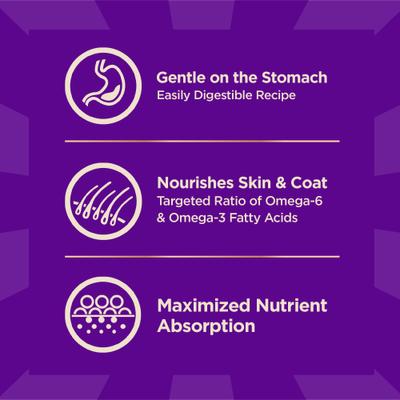 Show full view: Wellness CORE+ Sensitive Skin & Stomach Natural Adult Salmon & Rice Recipe Dry Dog Food, 18-lb bag slide 5 of 12