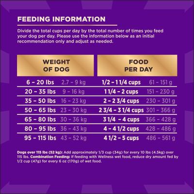 Show full view: Wellness CORE+ Wholesome Grains Ocean Recipe High Protein Dry Dog Food, 4-lb bag slide 10 of 12