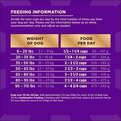 Show full view: Wellness CORE+ Wholesome Grains Original Recipe High Protein Dry Dog Food, 4-lb bag slide 9 of 11