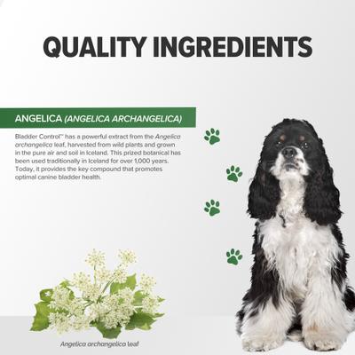 Show full view: Terry Naturally Animal Health Bladder Control Dog Supplement, 30 count slide 6 of 11