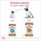 Show in main carousel: Royal Canin Breed Health Nutrition Pug Adult Dry Dog Food, 10-lb bag slide 7 of 13