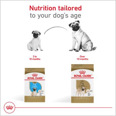 Show full view: Royal Canin Breed Health Nutrition Pug Adult Dry Dog Food, 10-lb bag slide 7 of 13