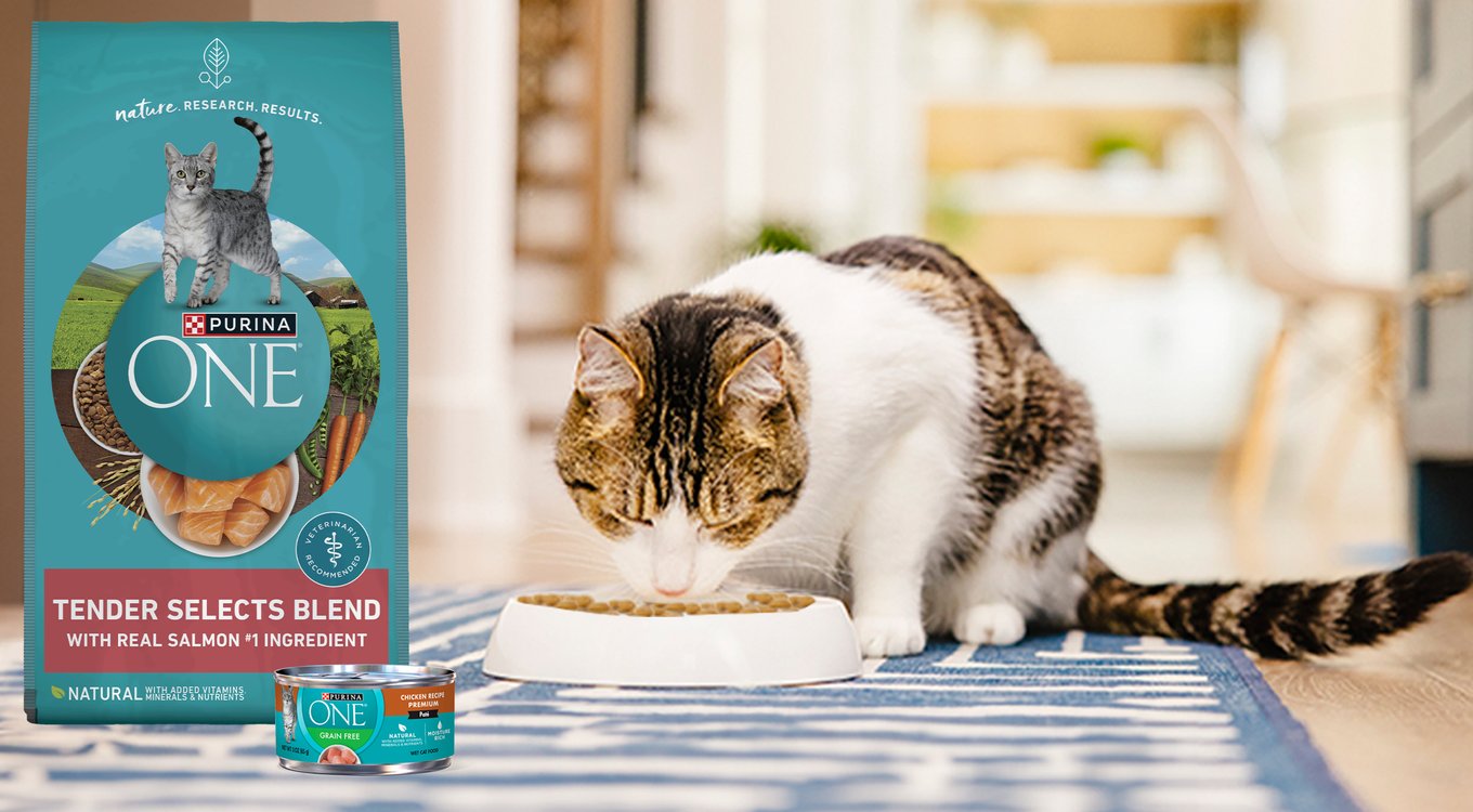 Purina ONE Tender Selects Blend with Real Chicken Digestive Formula Dry Cat Food