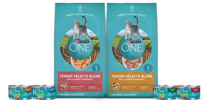 Purina ONE Tender Selects Blend with Real Chicken Dry Cat Food