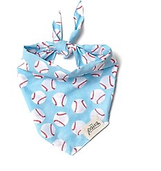 The Paws Home Run Dog Bandana, Blue, Small