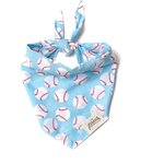 The Paws National Dog Bandana, Blue