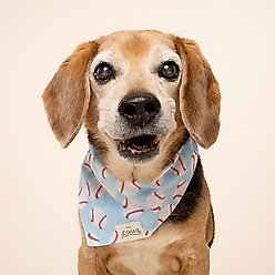 The Paws Home Run Dog Bandana, Blue, Large slide 2 of 8