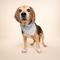 Show in main carousel: The Paws Home Run Dog Bandana, Blue, X-Large slide 5 of 9