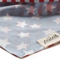 The Paws National Dog Bandana, Blue, Large slide 2 of 6